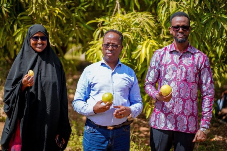 Wasiirka Beeraha oo booqasho ku tegay qaar ka mid ah beeraha degmada Afgooye