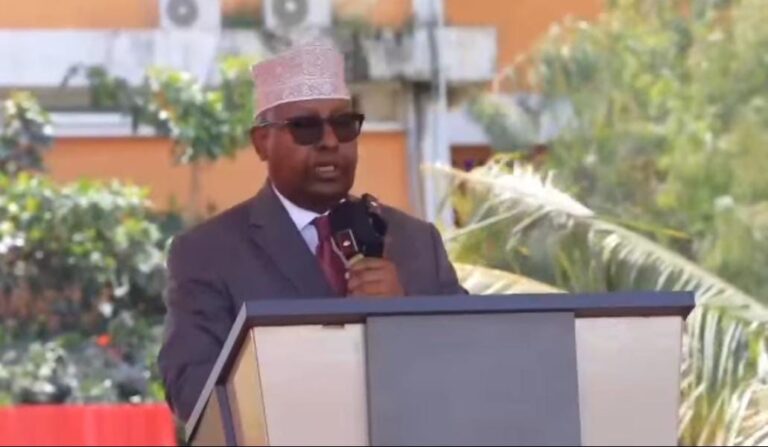 Wasiir Fiqi oo bogaadiyay guulihii Ciidanka Xoogga Dalka xilligii Taliye Odawaa