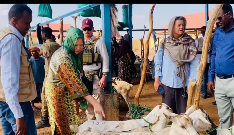 Wasiirka Xanaanada Xoolaha Galmudug oo Kormeeray Suuqa Xoolaha