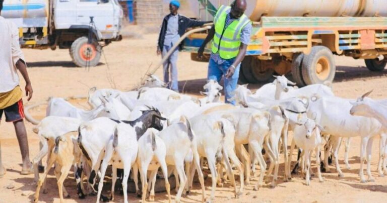 Biyo-dhaamin loo sameeyay qoysaska ay saameysay abaarta ka jirta qeybo ka mid ah dalka