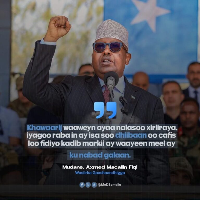 Wasiir Fiqi oo sheegay in xubno sare oo Khawaarijta ka tirsan codsiyo u soo dirsadeen dowladda