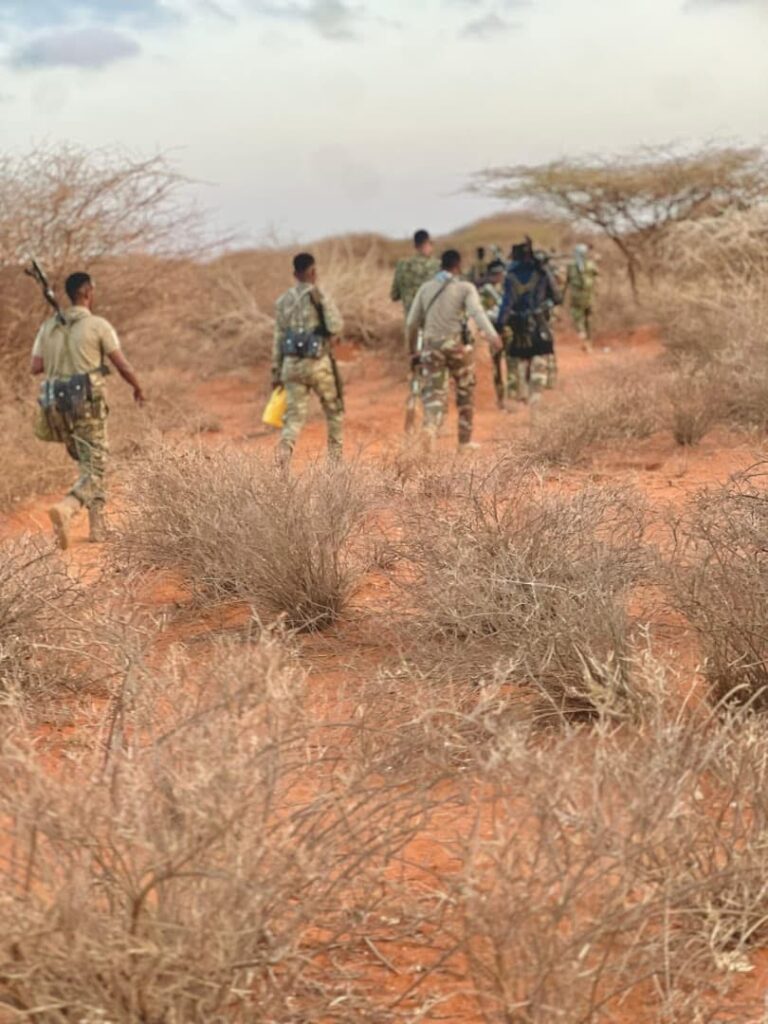 Horjoogaal Khawaarijta ka tirsan oo lagu khaarijiyay howlgal laga fuliyay Gobolka Hiiraan