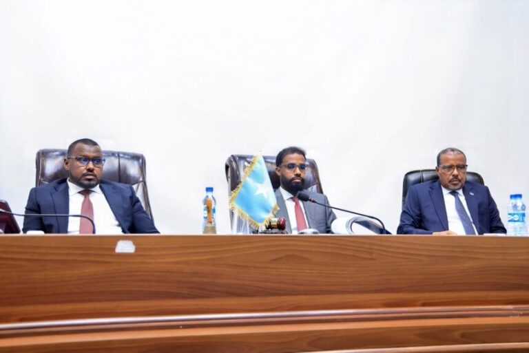 Baarlamaanka Dalka oo ka dooday cutubka 6-aad ee Dastuurka