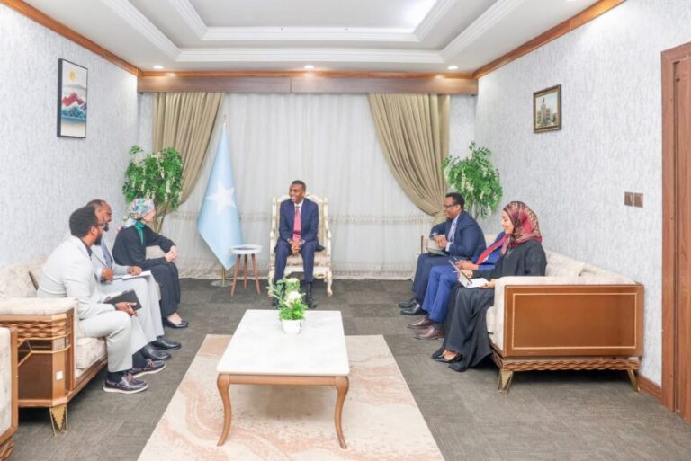 Ra’iisul Wasaaraha XFS oo xafiiskiisa ku qaabilay Wakiilka hey’adda (UNICEF) ee Soomaaliya