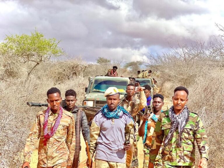 Ciidanka Xoogga oo howlgal qorsheysan ka fuliyay gobolka Shabeellaha Dhex