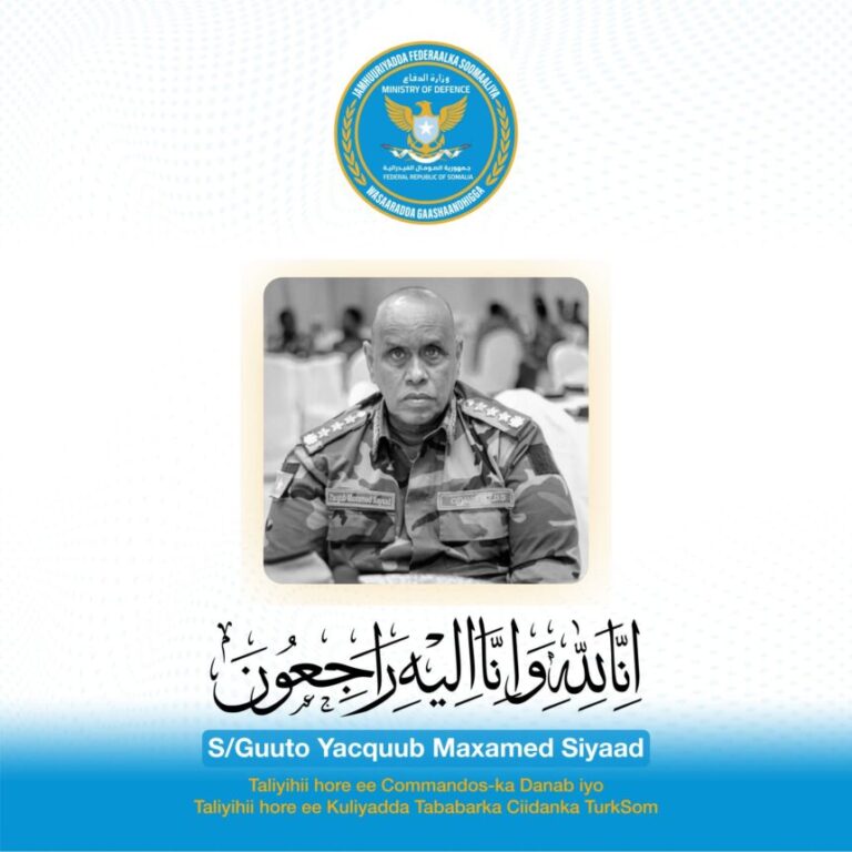 Wasiirka Gaashaandhigga oo ka tacsiyeeyay geerida taliyihii hore ee Danab iyo TurkiSom