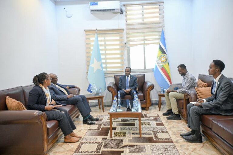 Wasiiru-Dowlaha Arrimaha Dibadda oo kulan la yeeshay UNTMIS si loo dardargeliyo geeddi-socodka kala-guurka