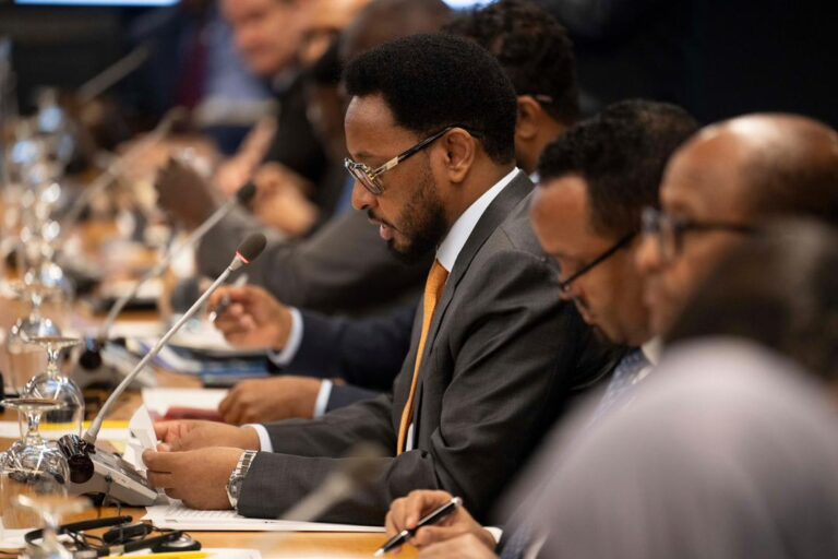 Wasiirka Maaliyadda XFS oo Shir-guddoomiyay Kulanka 28-aad ee Wasiirrada Maaliyadda Geeska Afrika