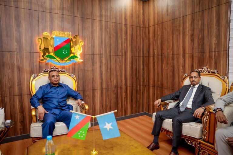 Hoggaamiyaha KGS oo Madaxtooyada ku qaabilay musharax Madaxweyne Cabdicasiis Maxamed